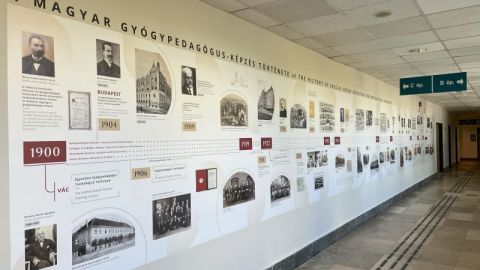 Timeline